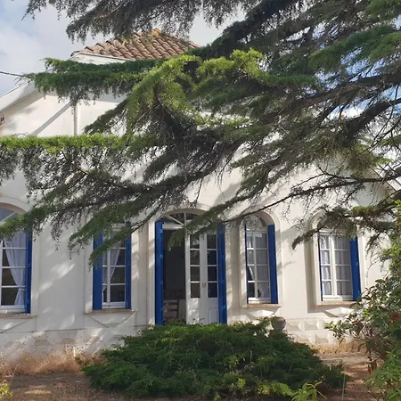 Jolie Maison Vendeenne, Animaux Sur Demande, Proche - Fr-1-476-52 *